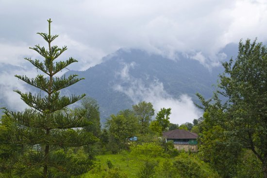 pedong Kalimpong